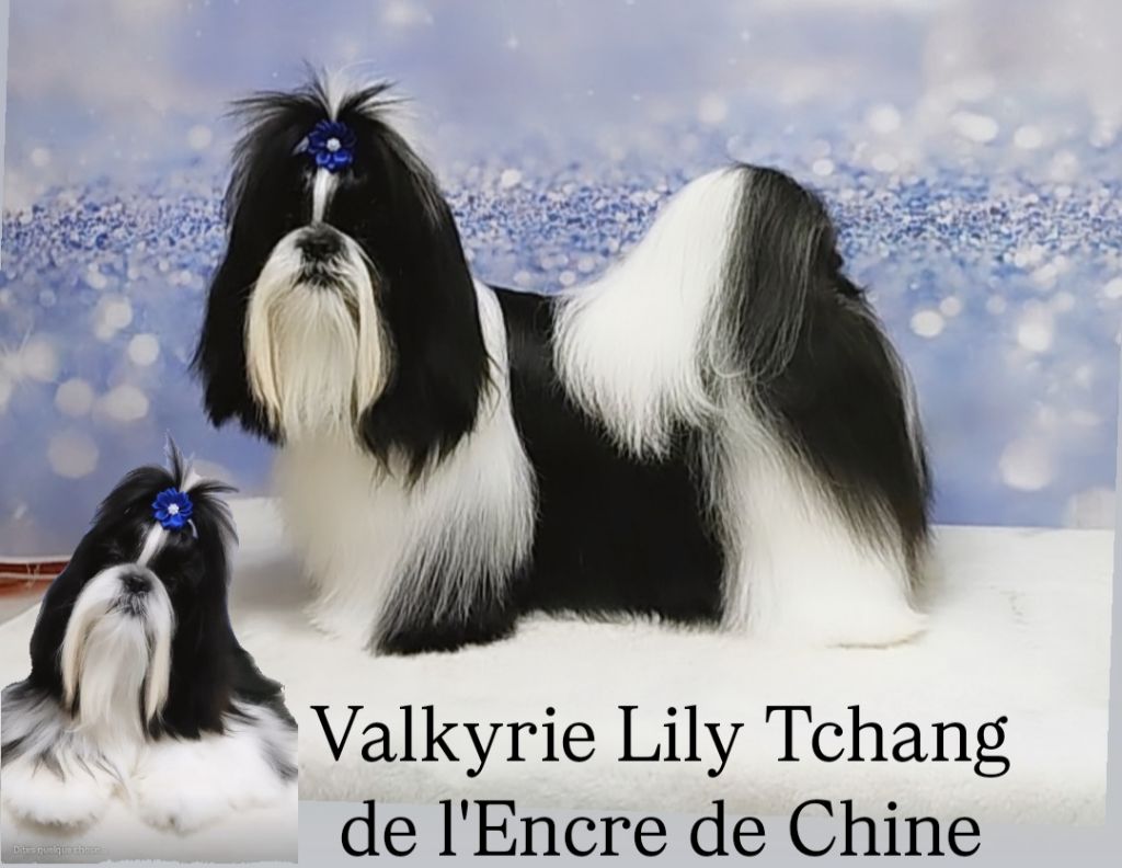 Valkyrie Lily Tchang de l'Encre de Chine 