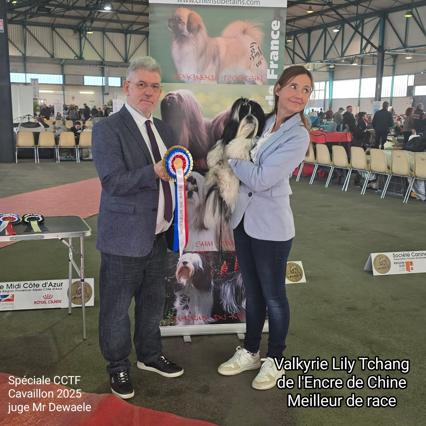 Encore des podiums à l'Exposition spéciale de race Cavaillon 2025