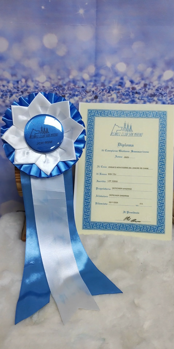 Le diplôme de San Marino est arrivé