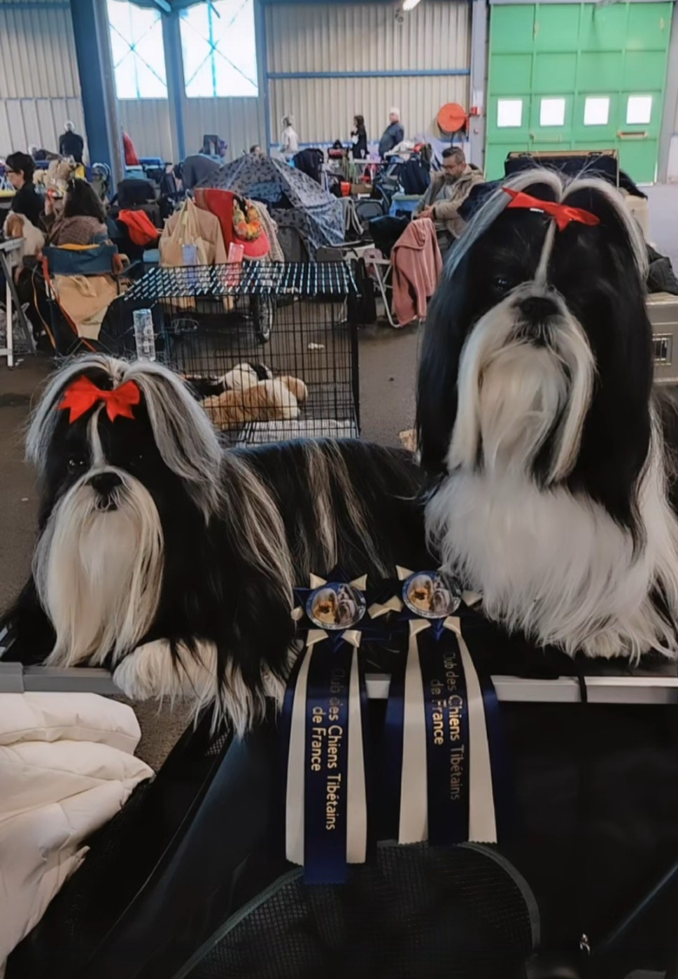 Nationale d'élevage 2026