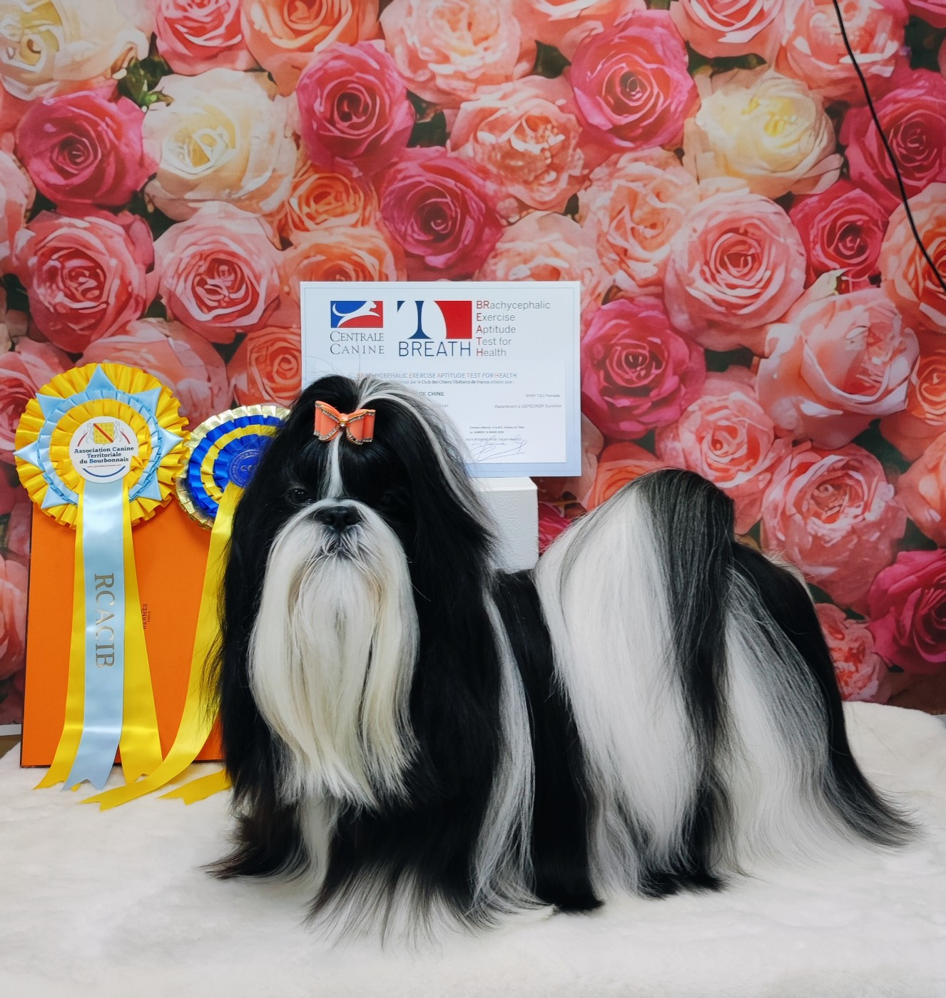 Vogue's New Égérie de l'Encre de Chine