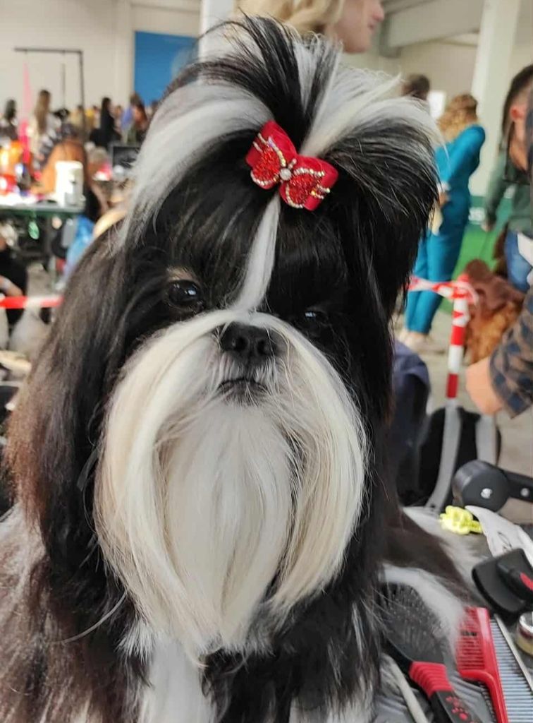 De l'encre de chine - Vogue's New Égérie de l'Encre de Chine est championne jeune